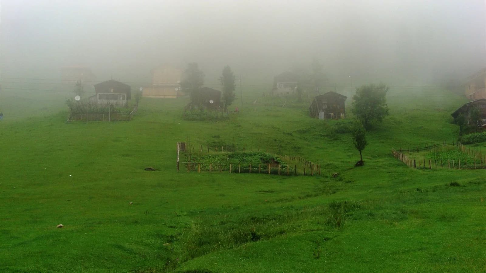 Karadeniz turlarında görülmesi gereken rotalar için yayla ve doğa görseli